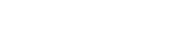 BUS303